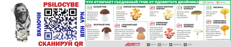 blacksprut сайт  Андреаполь  Псилоцибиновые грибы MAGIC MUSHROOMS 